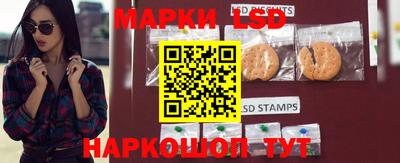 амф Новозыбков